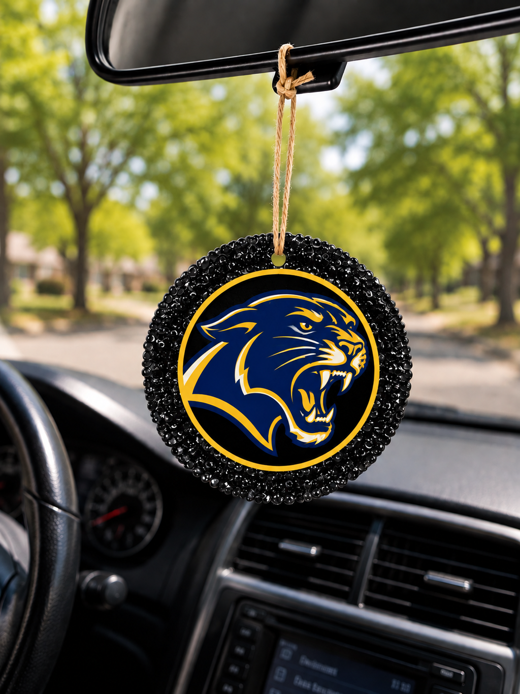 School Spirit Car Freshie
