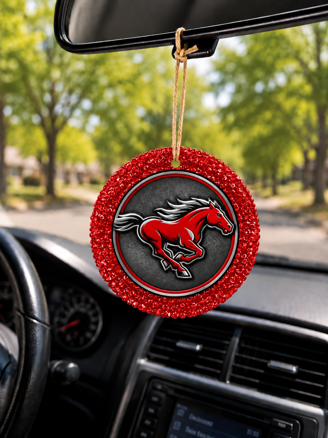 School Spirit Car Freshie