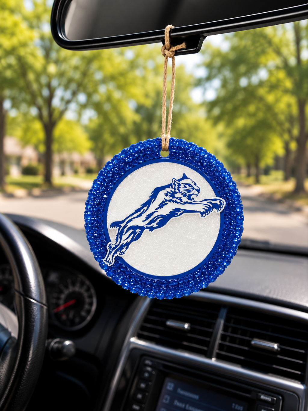School Spirit Car Freshie